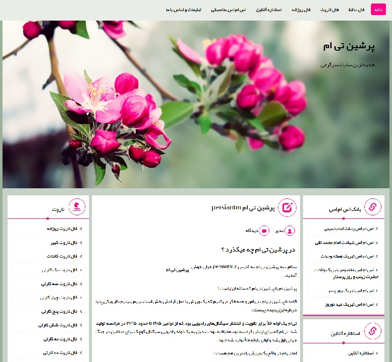 پرشین تی ام